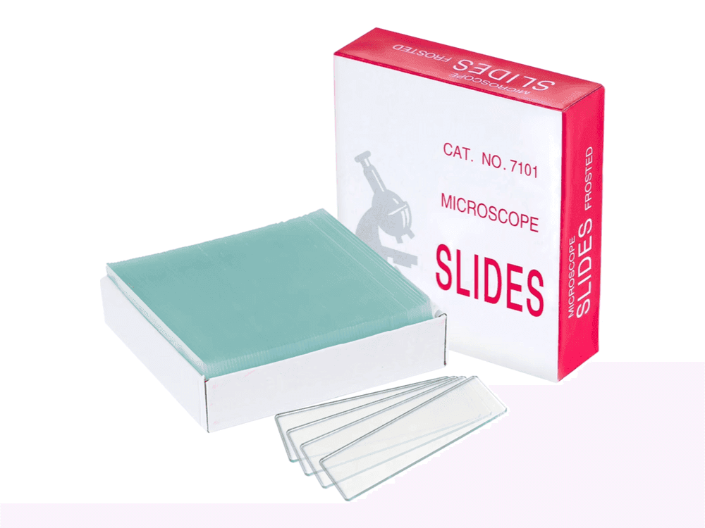 Microscope Slides, Plain (72 pcs)
